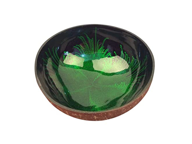 Conjunto de Tigelas de Servir de Coco Conjunto de 4 Polidas Tailândia Tigelas Premium Original