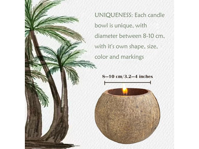 Tigela de Tinta Ecológica Redonda Para Pizza Massa Tigelas Decorativas de Salada Coco