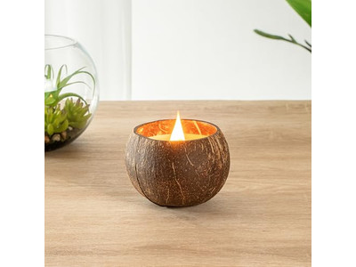 Coconuts Orgânicos Frescos Vendendo Cascas de Coco Tigela de Coco Feita à Mão Cera