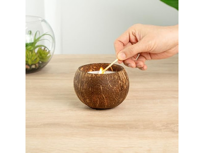 Coconuts Orgânicos Frescos Vendendo Cascas de Coco Tigela de Coco Feita à Mão Cera