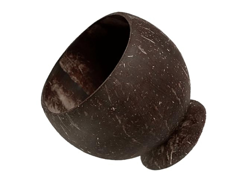 Conjunto de Uma Tigela de Coco Semelhante Com Suporte Cobertura de Logo de Tigelas Vietnamitas