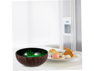 Tigela Natural da Tailândia Conjunto de Salada de Acácia Tigelas Coloridas de Coco Seguras para Alimentos