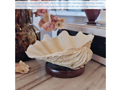 Tigela de Coco para Plantas Casca Não Polida Gravura Tigelas e Pratos de Madeira