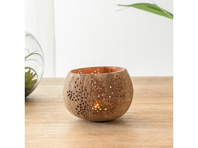 Tigela de Salada com Tampa de Coco Colorido para Pet Saudável Durável Tendências do Vietnã