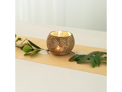 Tigela de Salada com Tampa de Coco Colorido para Pet Saudável Durável Tendências do Vietnã