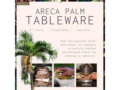 Tigela de Coco Vegana com Suporte Log Natural Preço Barato Tigelas no Vietnã